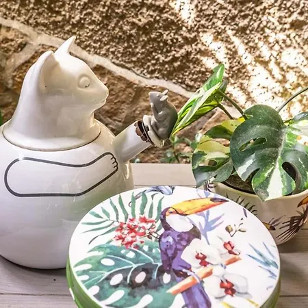 St Peter Vatican Lovely & Patio, Rom